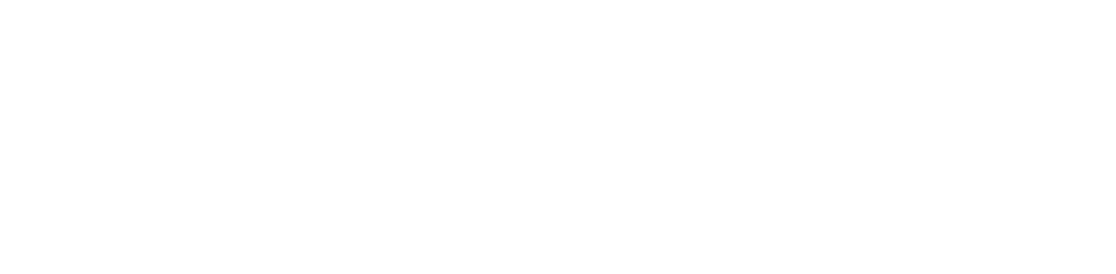 FytSuite Logo